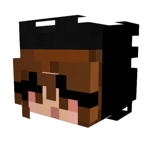 NOTmeri Minecraft avatar head, 3D render