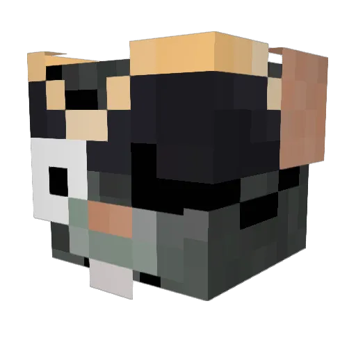 NOTmrscallywag Minecraft avatar head, 3D render