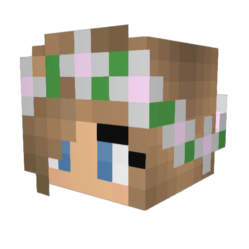 NOU22ran Minecraft avatar head, 3D render