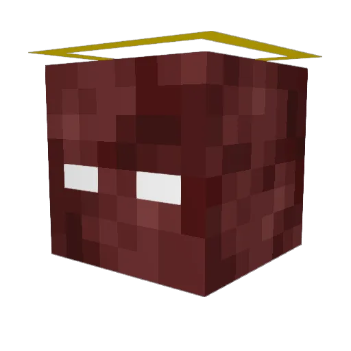 NOVAHEREyt Minecraft avatar head, 3D render