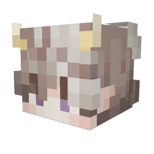 NOWAPOTTER Minecraft avatar head, 3D render