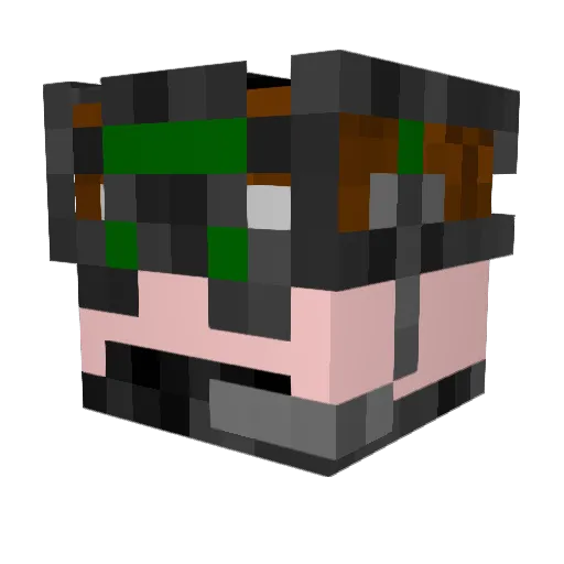 NOWEAT Minecraft avatar head, 3D render