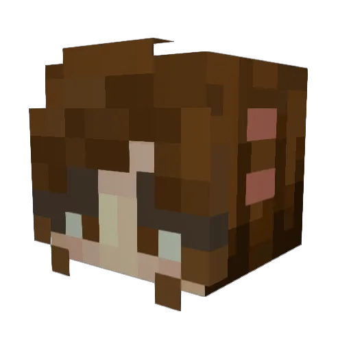 NOYA_v Minecraft avatar head, 3D render