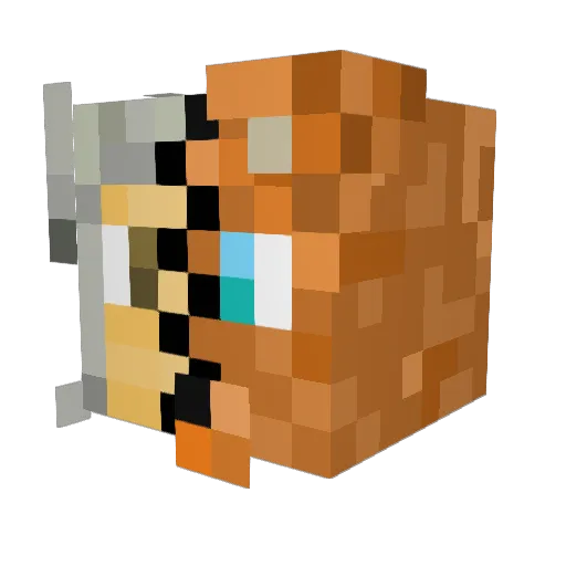 NOYES435 Minecraft avatar head, 3D render