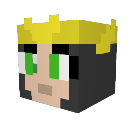 NO__NO__ Minecraft avatar head, 3D render