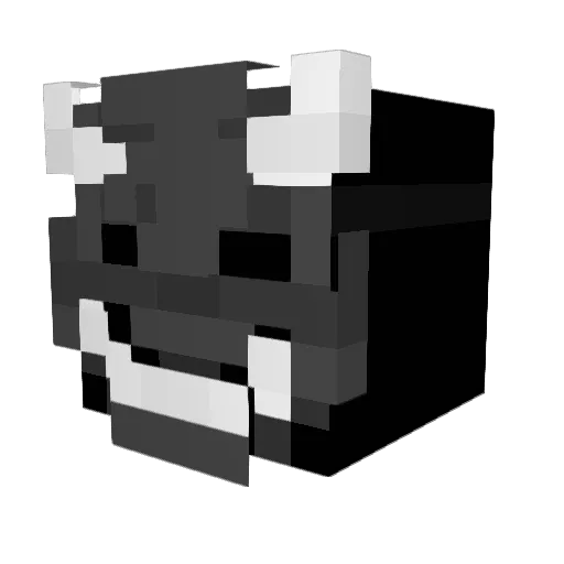 NOnameXHunter Minecraft avatar head, 3D render