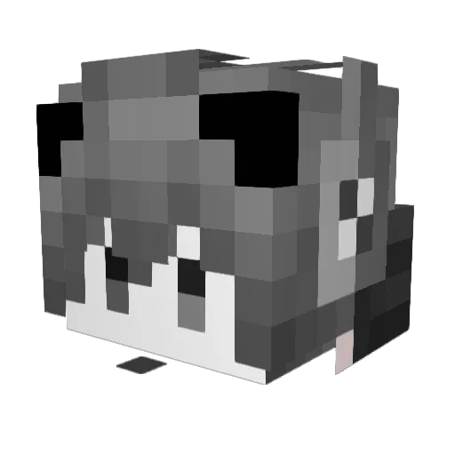 NOsprise Minecraft avatar head, 3D render