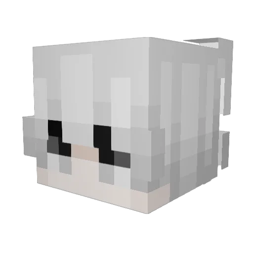 NOt_abolfazl Minecraft avatar head, 3D render