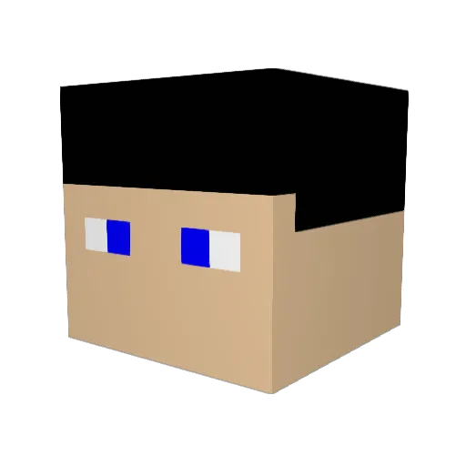 NPC_12345 Minecraft avatar head, 3D render