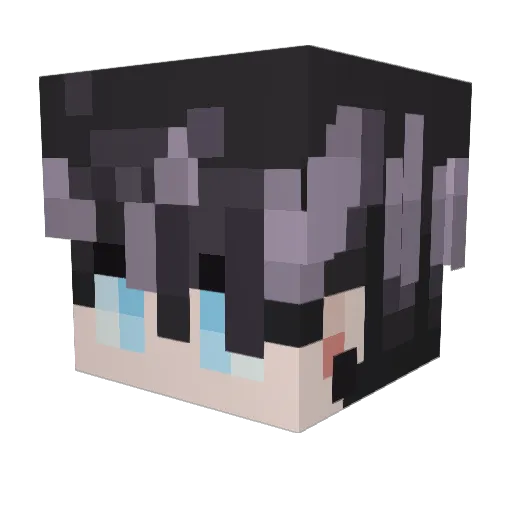 NPCharacter Minecraft avatar head, 3D render