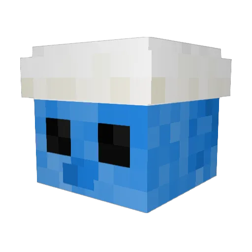 NPG05 Minecraft avatar head, 3D render