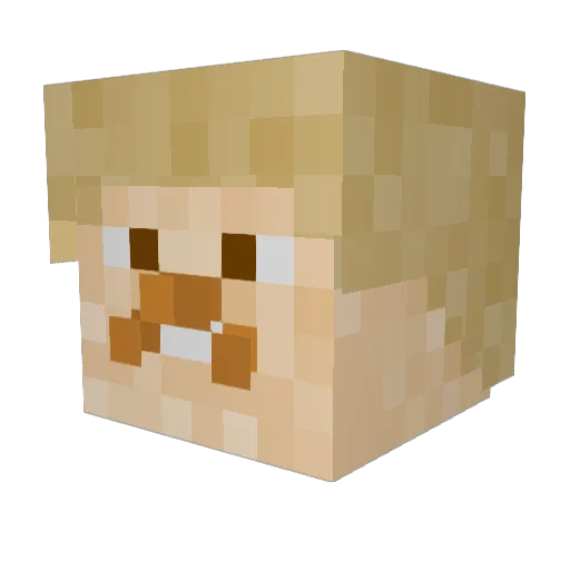 NPLFN Minecraft avatar head, 3D render