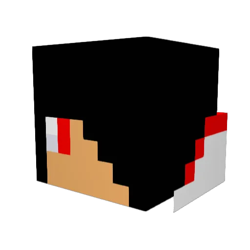 NQ2001 Minecraft avatar head, 3D render