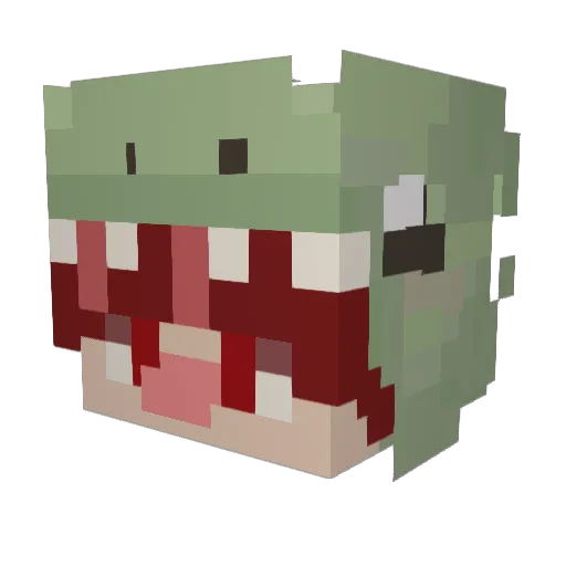 NR_Nate Minecraft avatar head, 3D render
