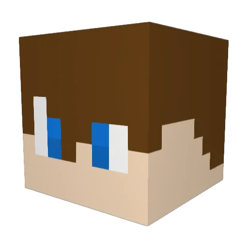 NRwall Minecraft avatar head, 3D render