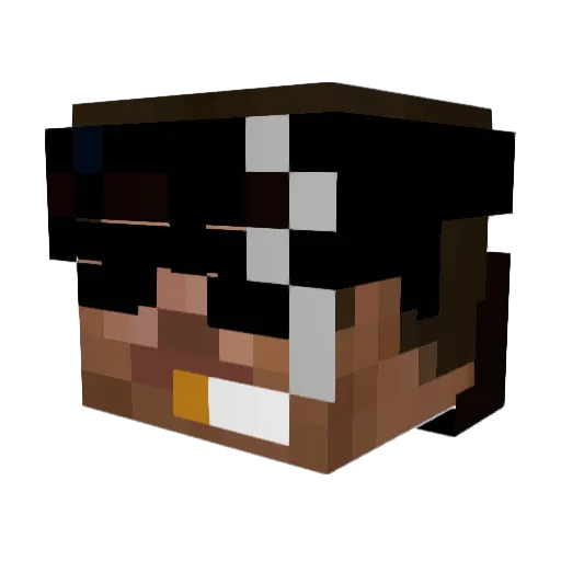 NS7 Minecraft avatar head, 3D render