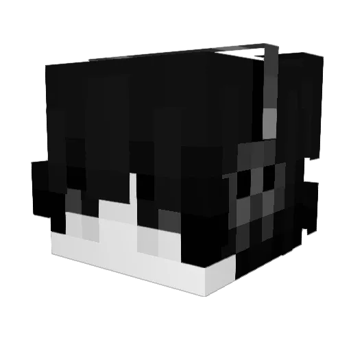 NSAR Minecraft avatar head, 3D render