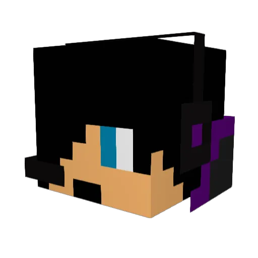 NSF16 Minecraft avatar head, 3D render
