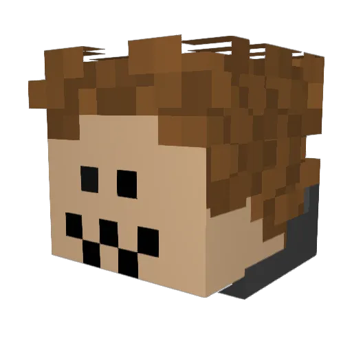 NSG2009 Minecraft avatar head, 3D render