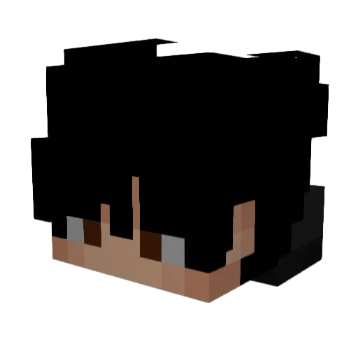 NSKA_ Minecraft avatar head, 3D render