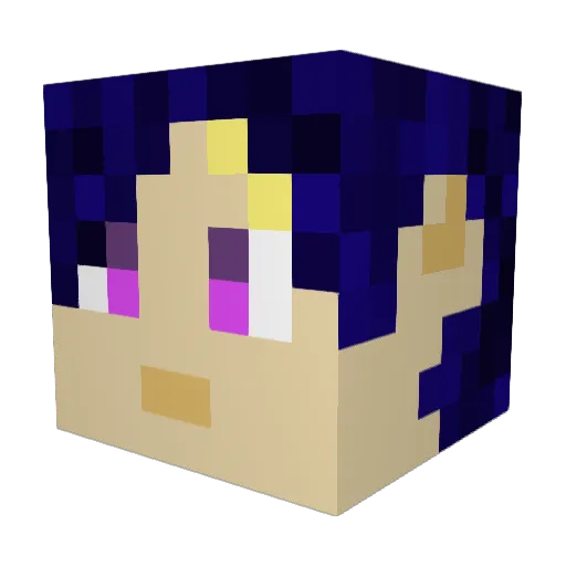 NSR994 Minecraft avatar head, 3D render