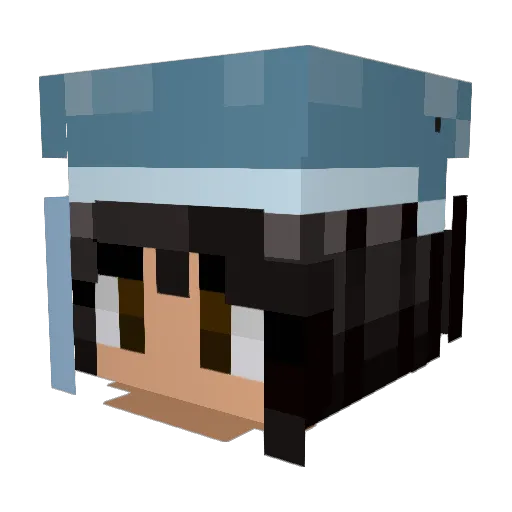 NSSHADOW Minecraft avatar head, 3D render