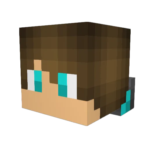 NSSRogue Minecraft avatar head, 3D render