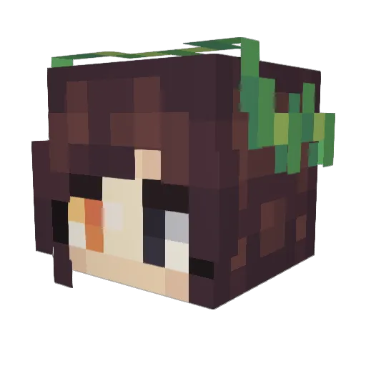 NSSTAR Minecraft avatar head, 3D render