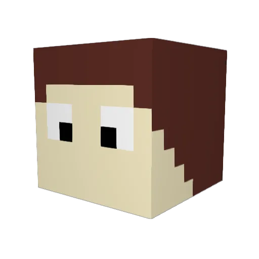 NSTRW Minecraft avatar head, 3D render