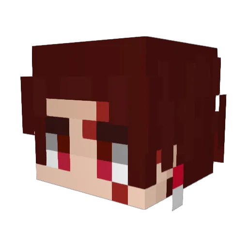 NSWarrior1315 Minecraft avatar head, 3D render