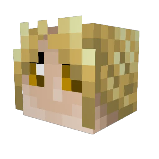 NS_Radication Minecraft avatar head, 3D render