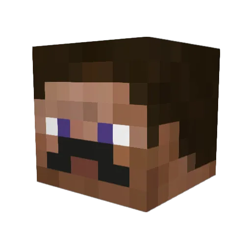 NTCCCC Minecraft avatar head, 3D render
