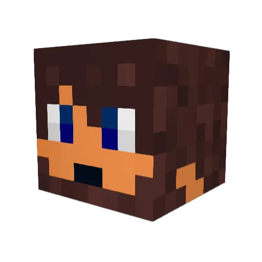 NTC_ Minecraft avatar head, 3D render