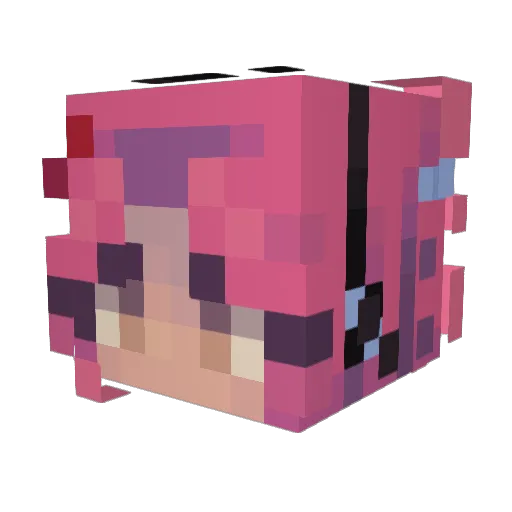 NTG_Sonic Minecraft avatar head, 3D render