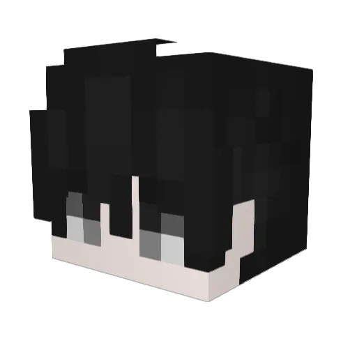 NTKJH Minecraft avatar head, 3D render