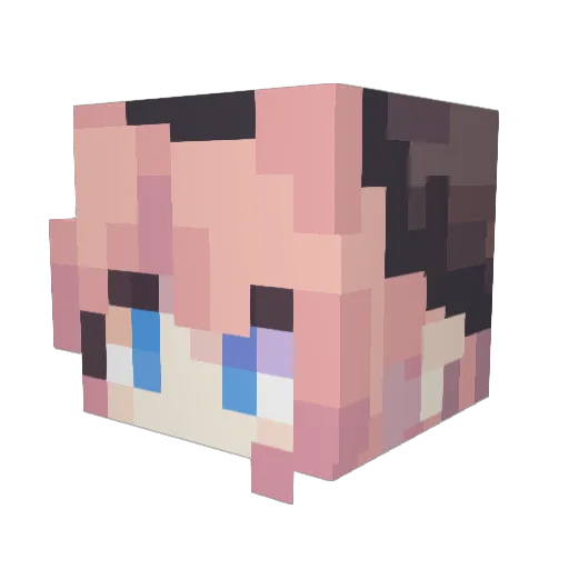 NTKcat Minecraft avatar head, 3D render