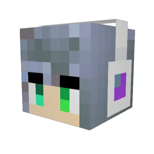NTR69 Minecraft avatar head, 3D render