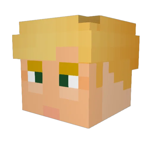 NTR_Player Minecraft avatar head, 3D render