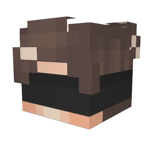 NTSLW Minecraft avatar head, 3D render