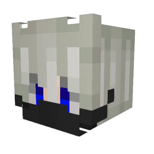 NTT_LogaN Minecraft avatar head, 3D render