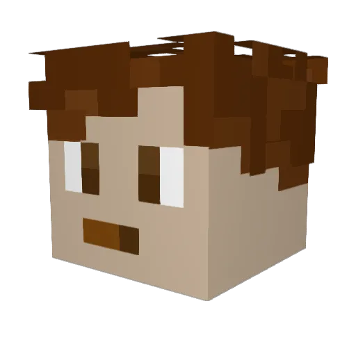 NT_TN8 Minecraft avatar head, 3D render