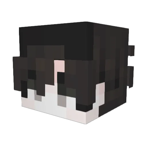 NThink Minecraft avatar head, 3D render