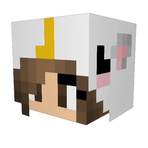 NTimm Minecraft avatar head, 3D render