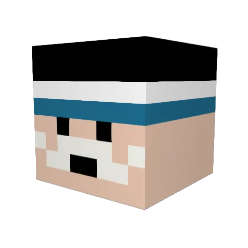 NUCNWolf Minecraft avatar head, 3D render