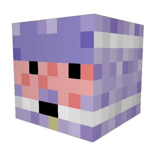 NUEC1 Minecraft avatar head, 3D render