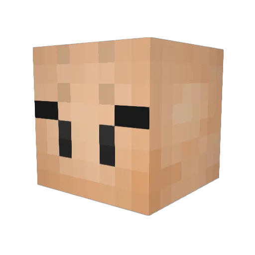 NUGGETSzero Minecraft avatar head, 3D render