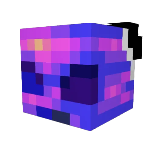 NUK5_ Minecraft avatar head, 3D render