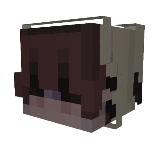 NUKE_WOLFEE Minecraft avatar head, 3D render