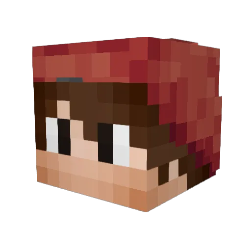 NULL_CRAFT Minecraft avatar head, 3D render