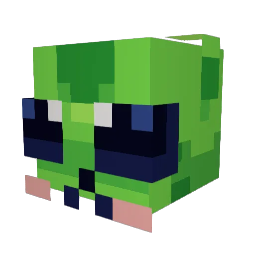 NURTUREZ Minecraft avatar head, 3D render